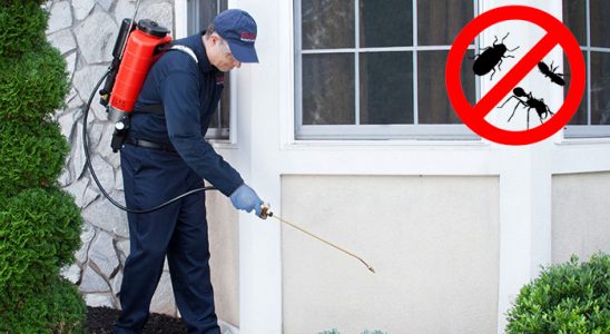 Torbalı Kemirgen İlaçlama böcek ilaçlama ve haşere kontrolü — ilaclama-tr.com